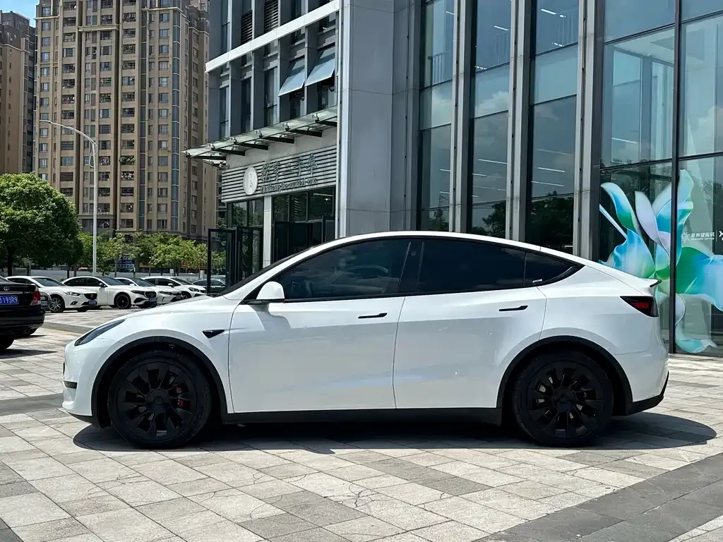 Tesla Model Y — фото 8