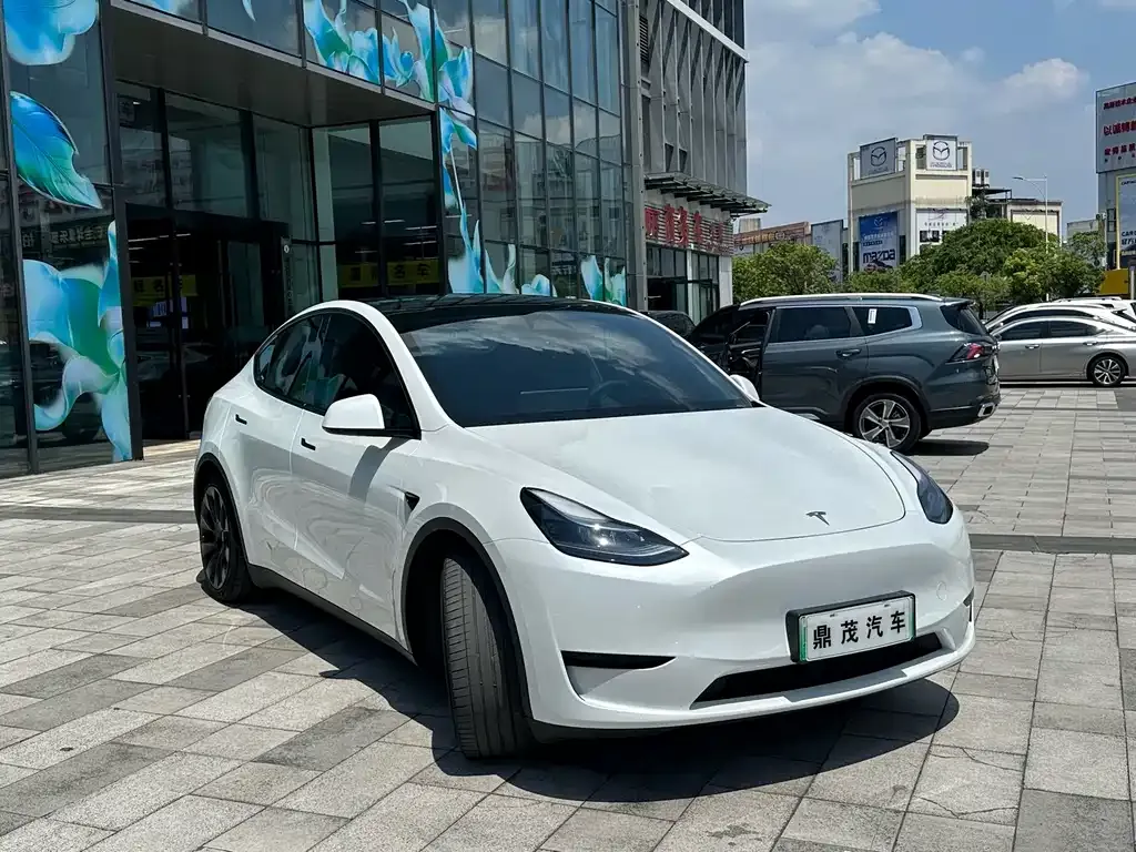 Tesla Model Y — фото 6