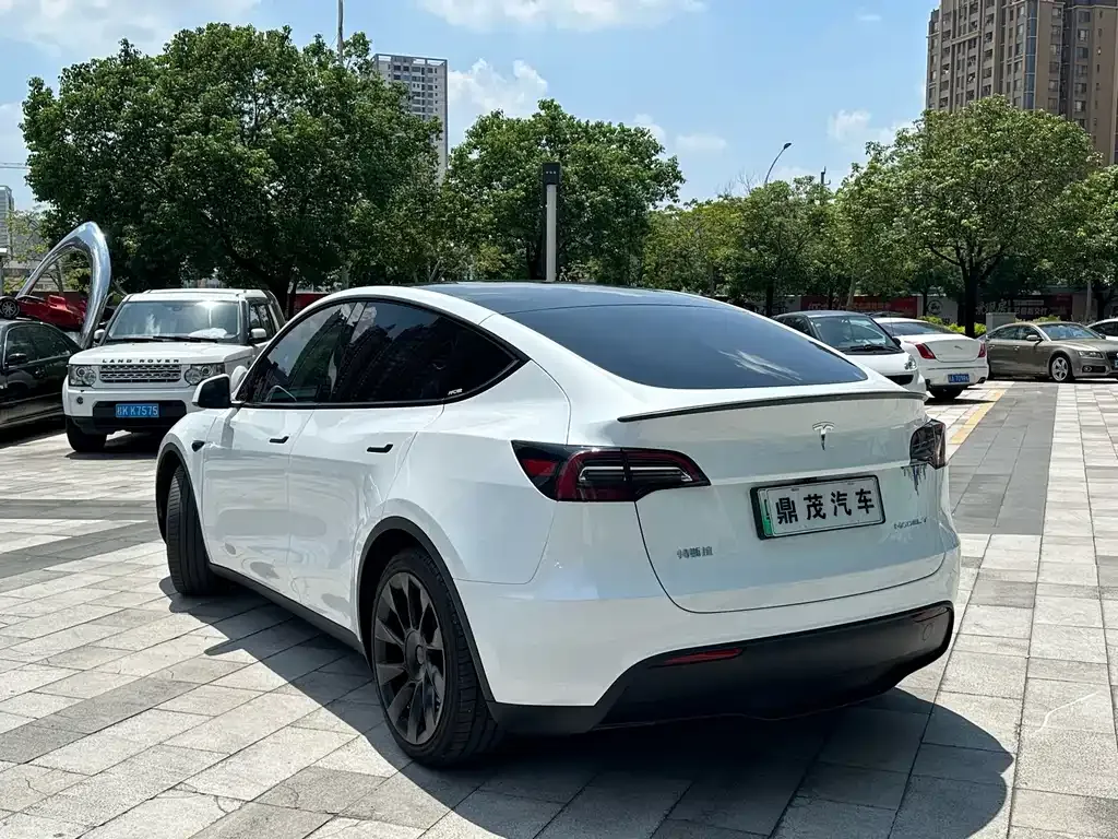 Tesla Model Y — фото 10