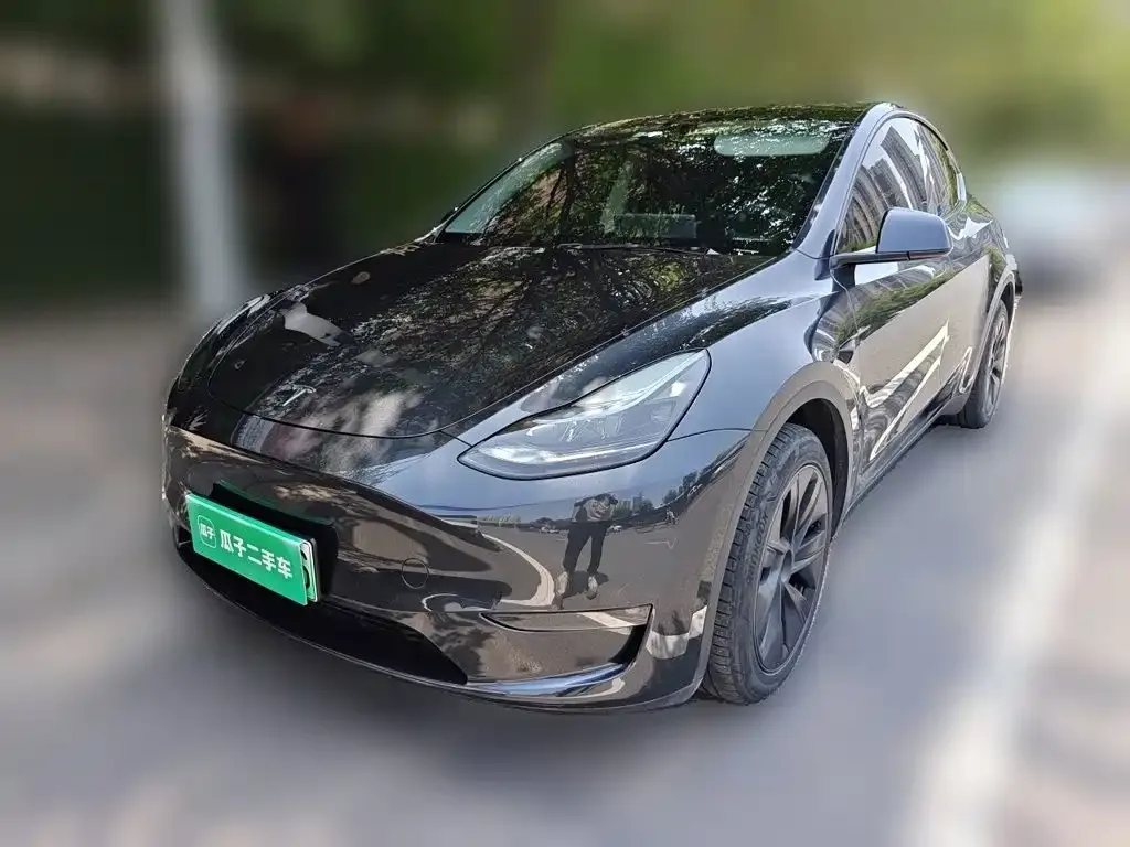 Tesla Model Y — фото 8