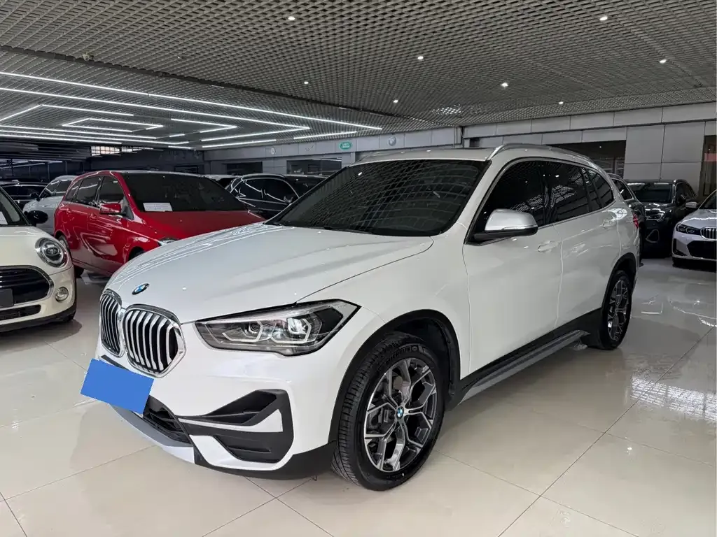 BMW X1 — фото 1