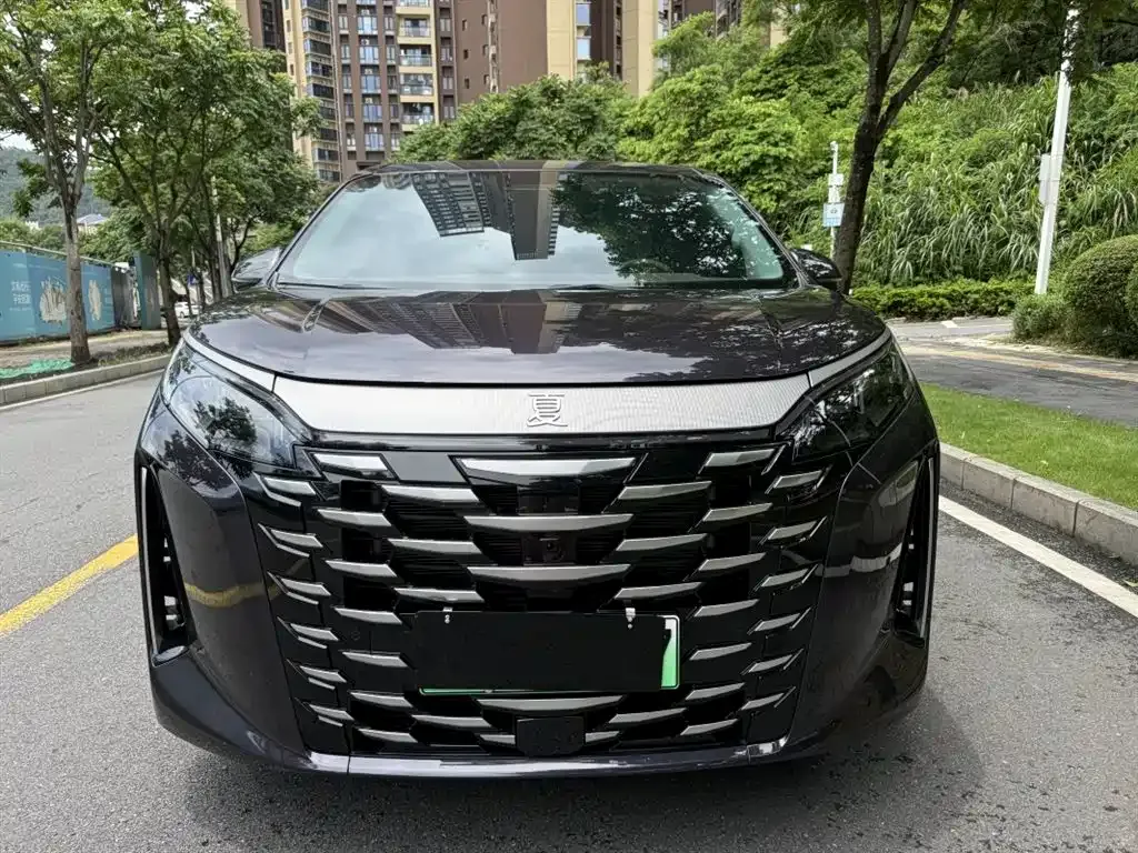 BYD Xia 2025 из CN, фото 5