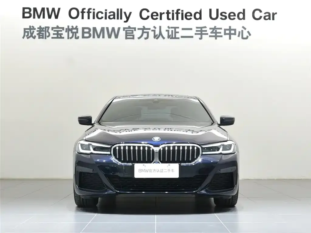BMW 5 Series New Energy — фото 7