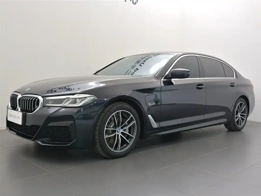 BMW 5 Series New Energy — фото 4