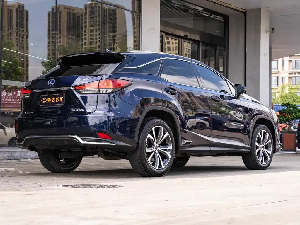 Lexus RX — фото 10