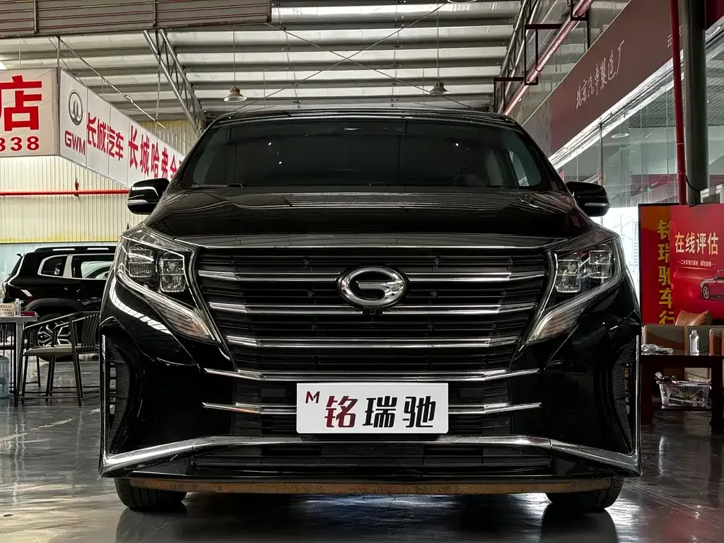 GAC Motor Trumpchi M8 2024 из CN, фото 9