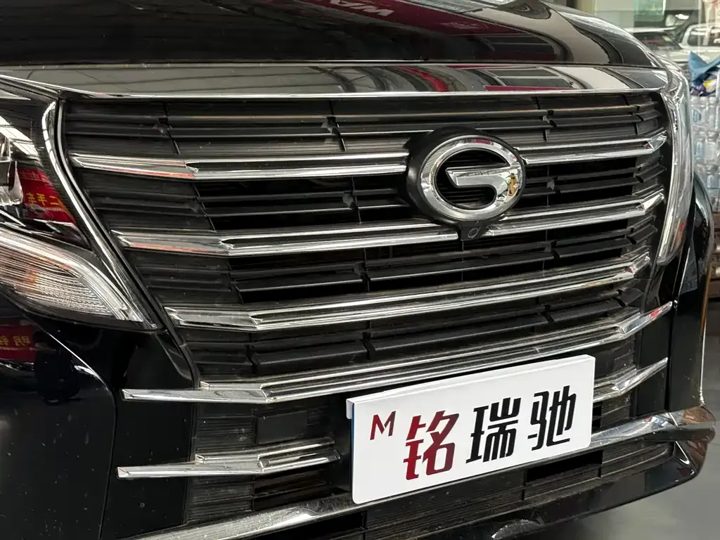 GAC Motor Trumpchi M8 2024 из CN, фото 5