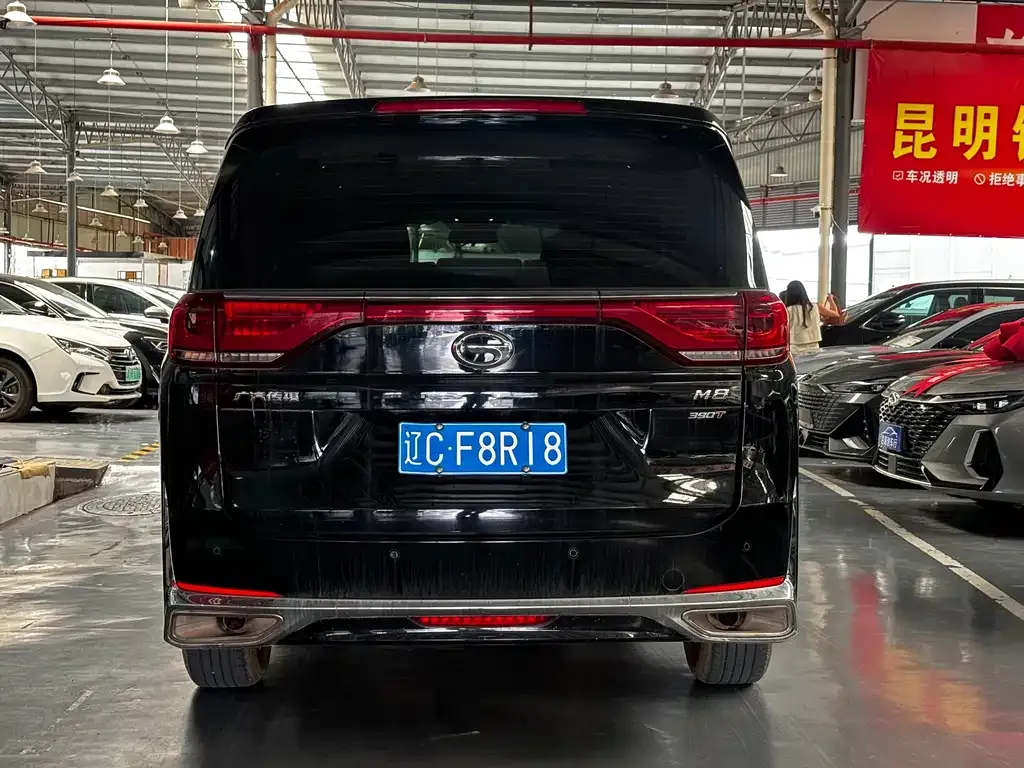 GAC Motor Trumpchi M8 2024 из CN, фото 6
