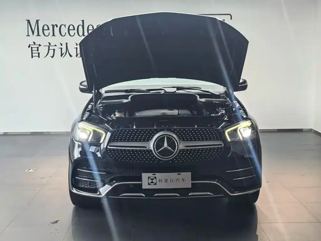 Mercedes-Benz 奔驰GLE(进口) — фото 3
