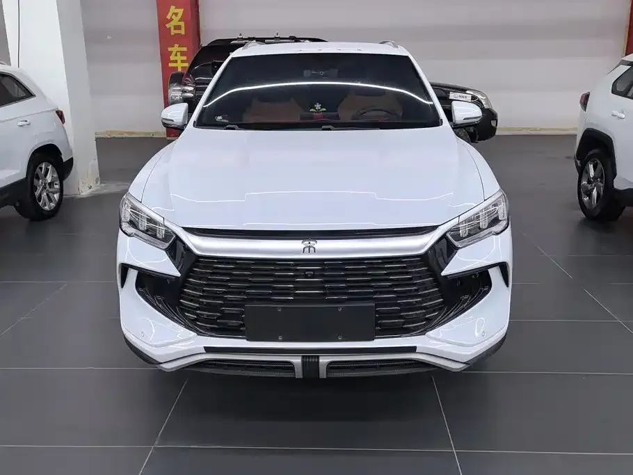 BYD Pro New Energy — фото 8