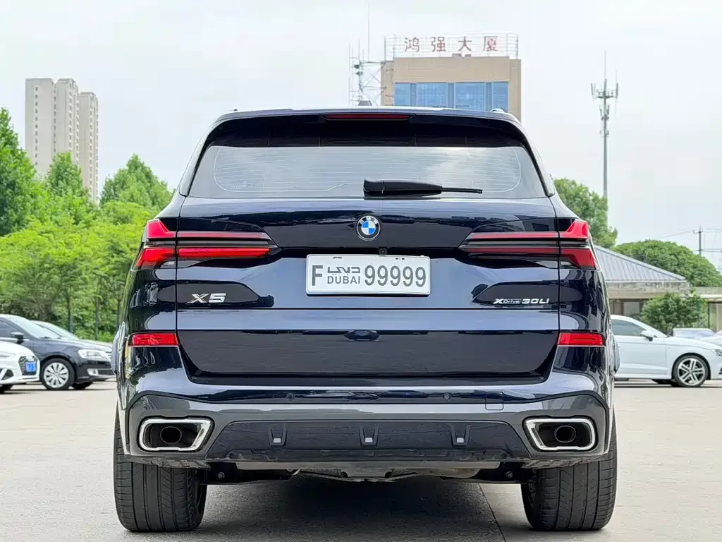 BMW X5 2024 из CN, фото 4