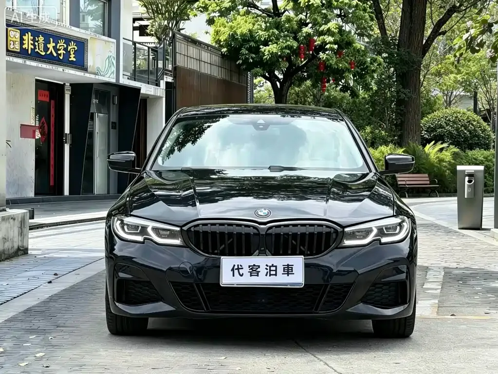 BMW 3 Series 2021 из CN, фото 5