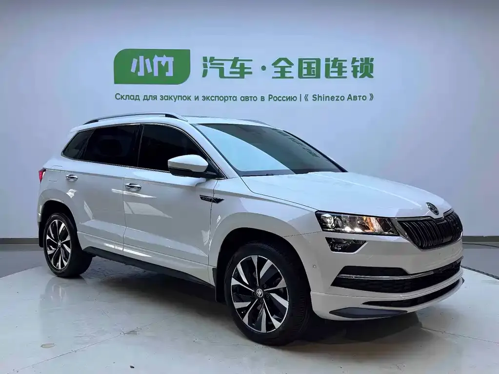 Skoda Karoq — фото 6