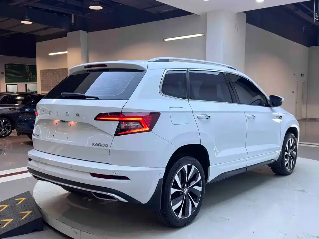 Skoda Karoq — фото 9