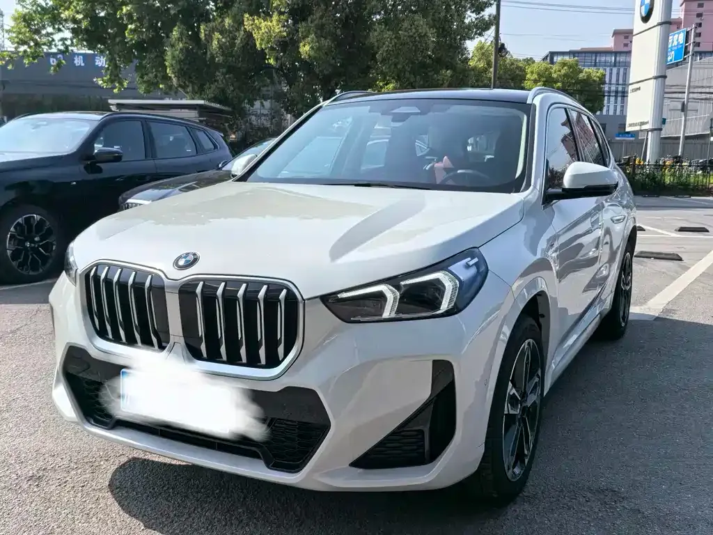 BMW X1 — фото 1