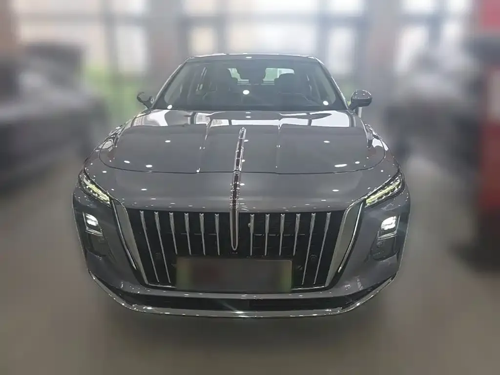 Hongqi H5 PHEV 2025 из CN, фото 4