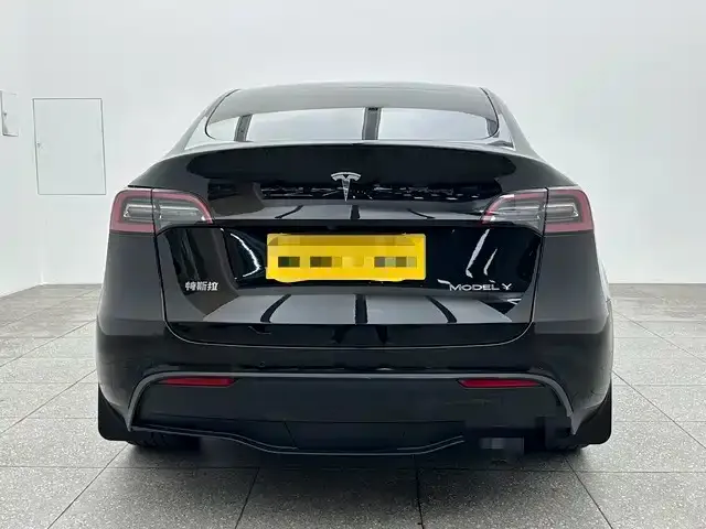 Tesla Model Y — фото 8