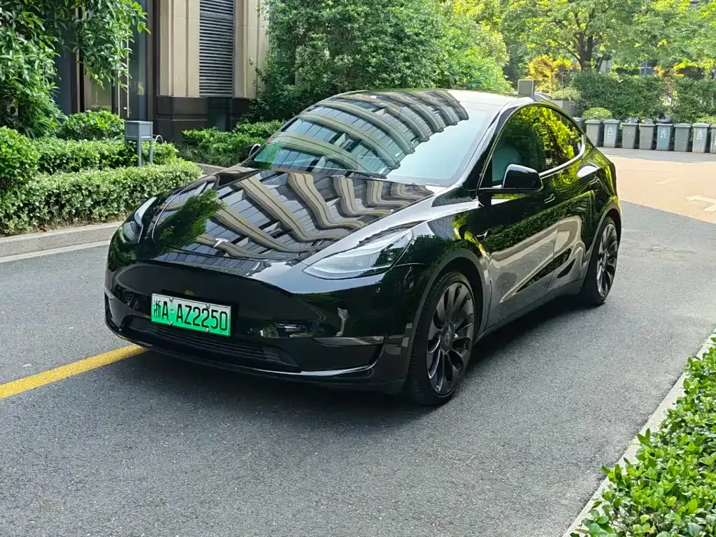 Tesla Model Y — фото 1