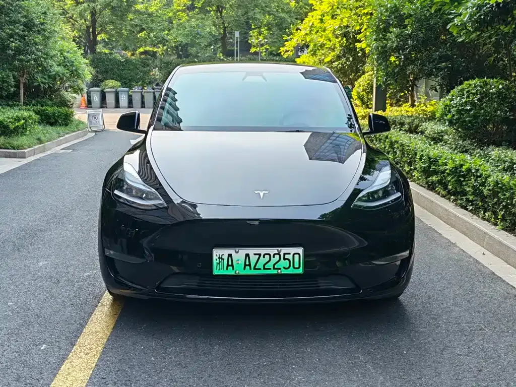Tesla Model Y — фото 4