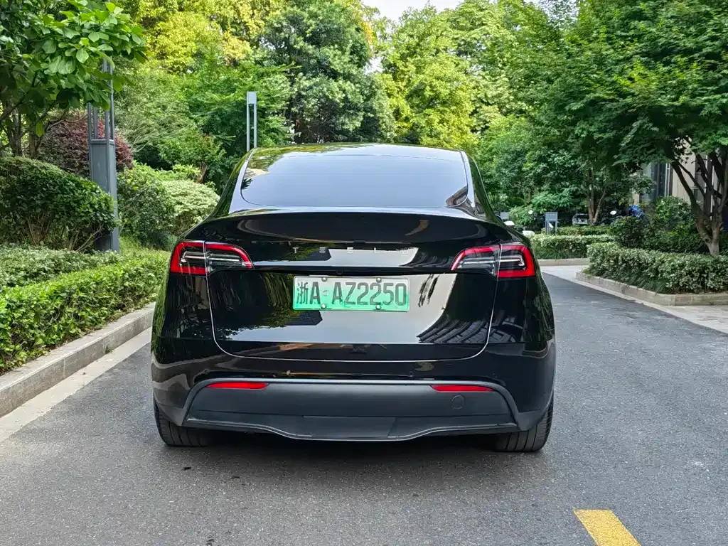Tesla Model Y — фото 8