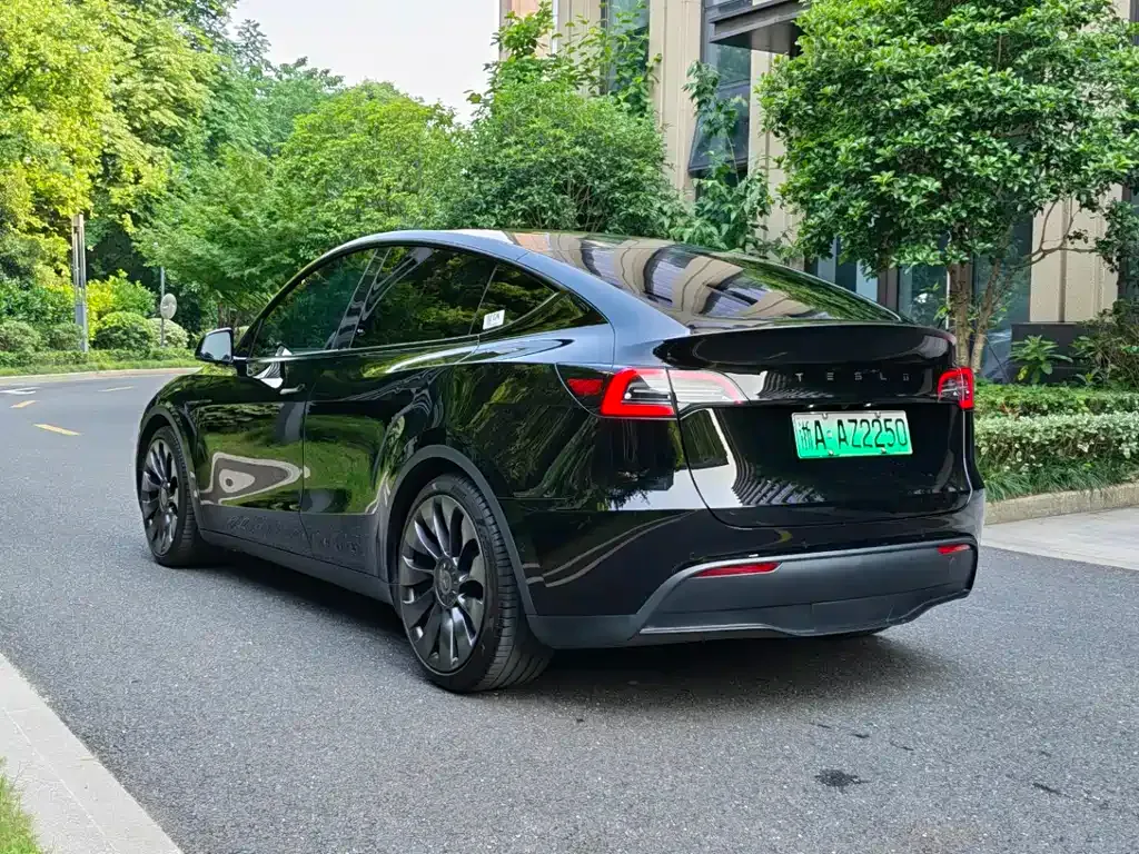 Tesla Model Y — фото 6