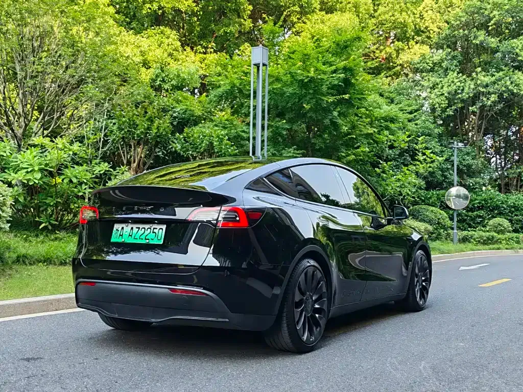 Tesla Model Y — фото 10