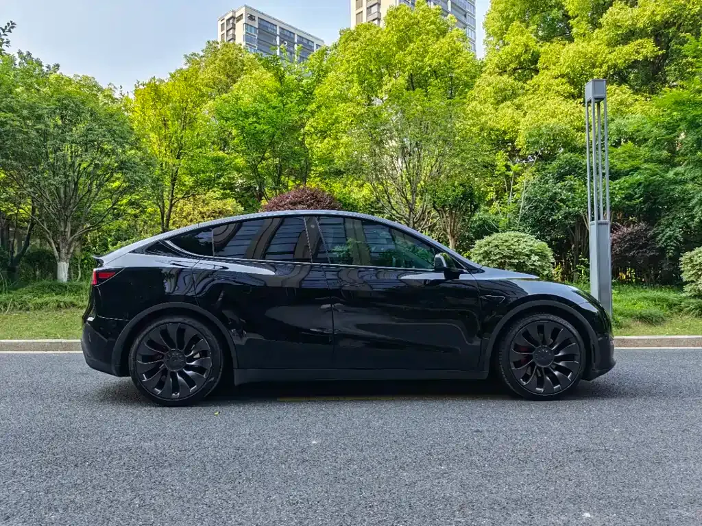 Tesla Model Y — фото 9