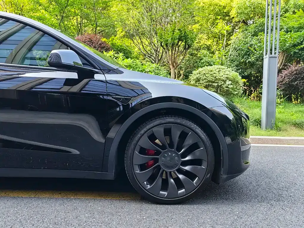 Tesla Model Y — фото 7