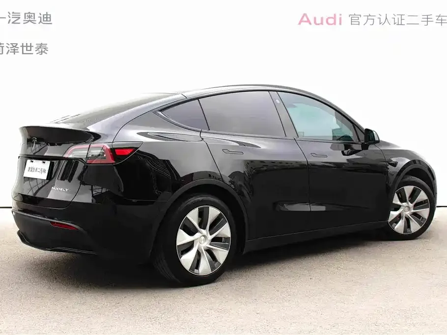 Tesla Model Y — фото 10