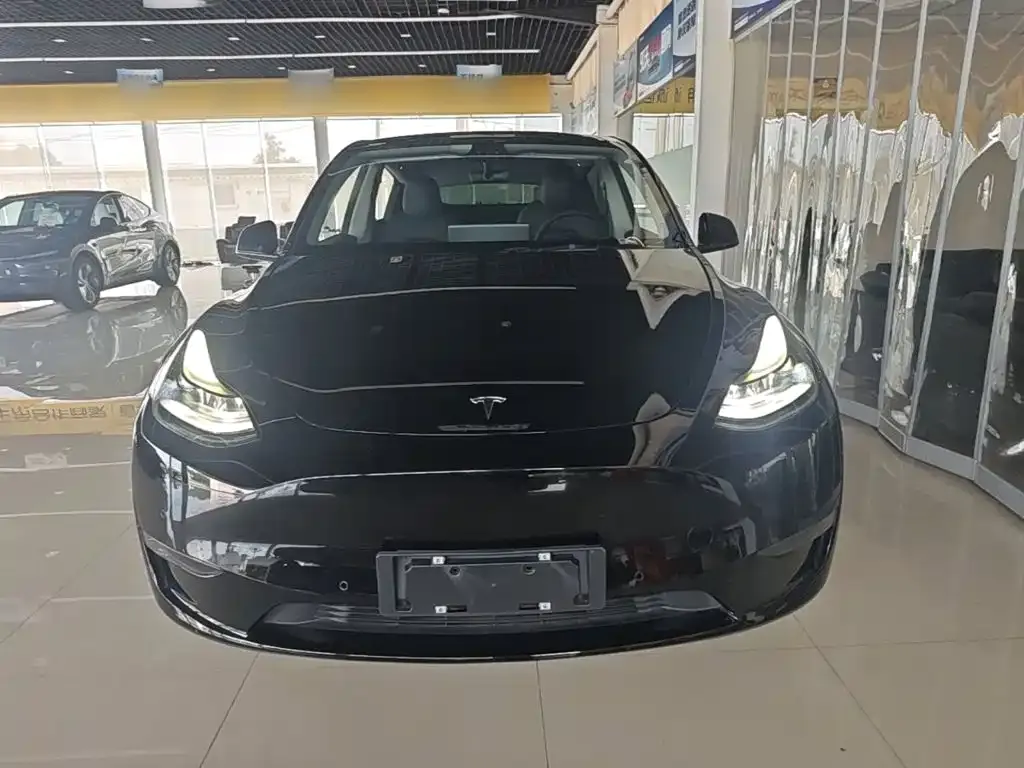 Tesla Model Y — фото 7