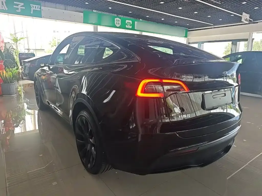Tesla Model Y — фото 3