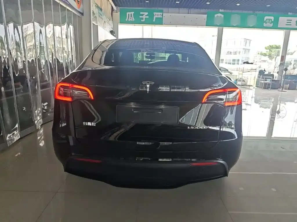 Tesla Model Y — фото 10