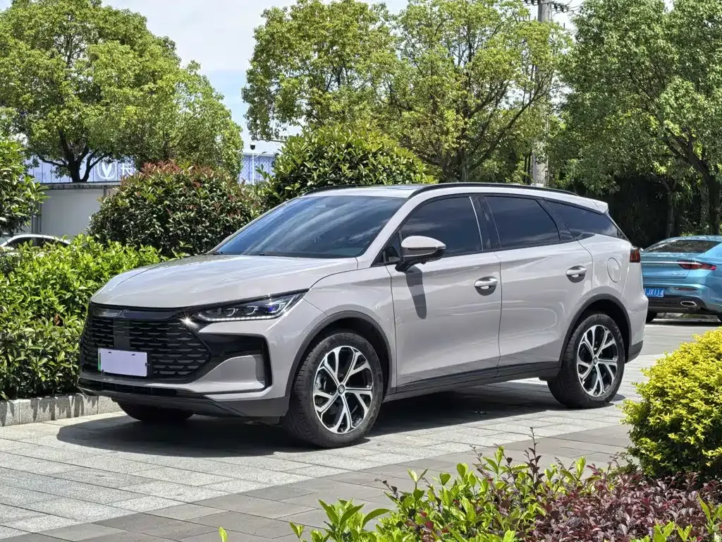 BYD Tang New Energy — фото 1