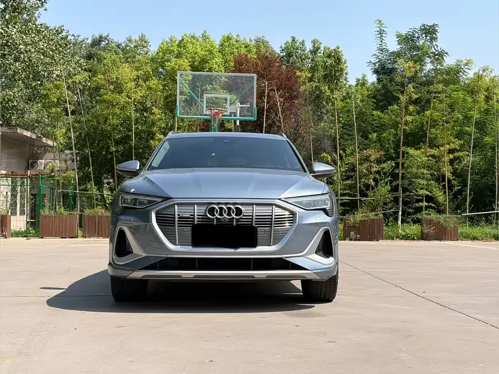 Audi e-tron 2021 из CN, фото 5