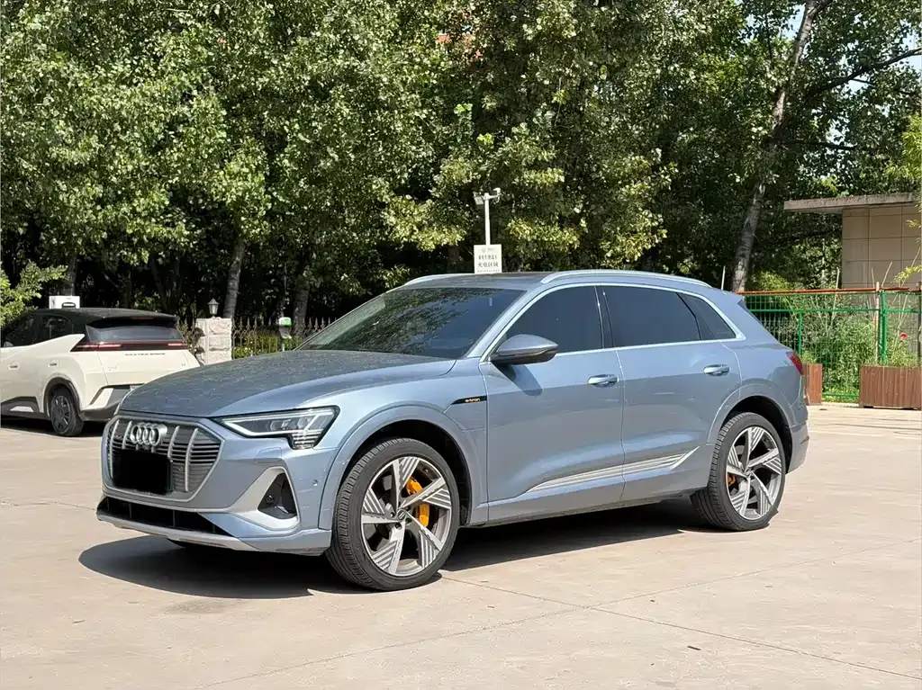 Audi e-tron 2021 из CN, фото 9
