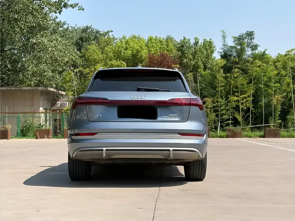 Audi e-tron 2021 из CN, фото 7