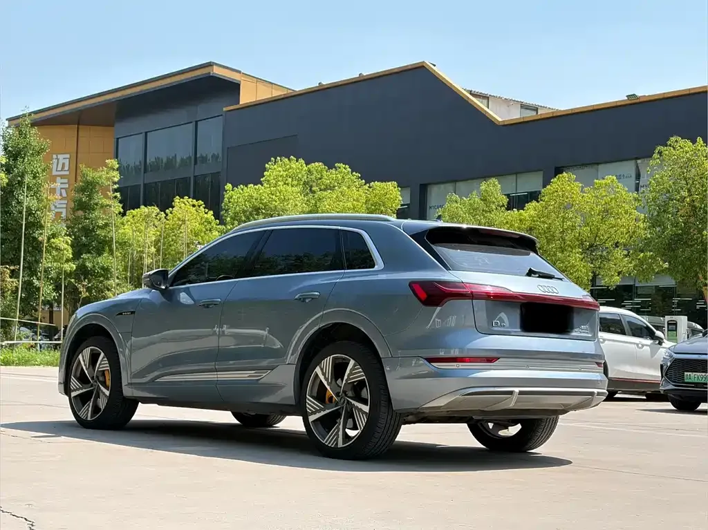 Audi e-tron 2021 из CN, фото 6