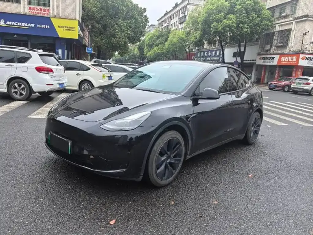 Tesla Model Y — фото 1