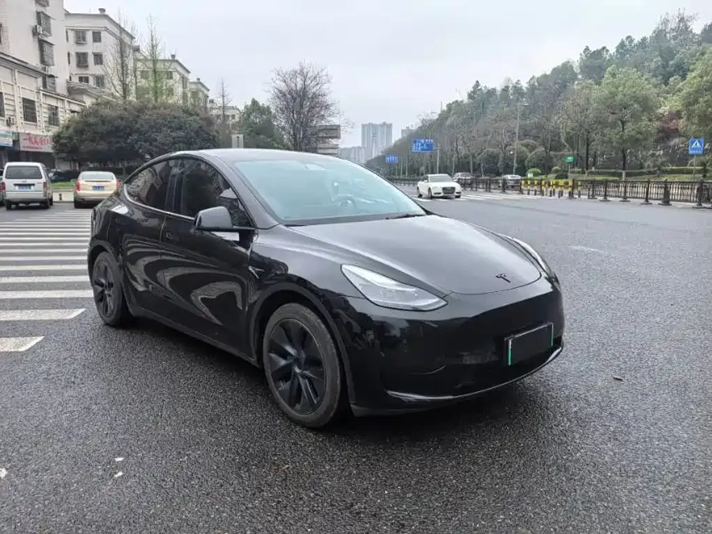 Tesla Model Y — фото 3