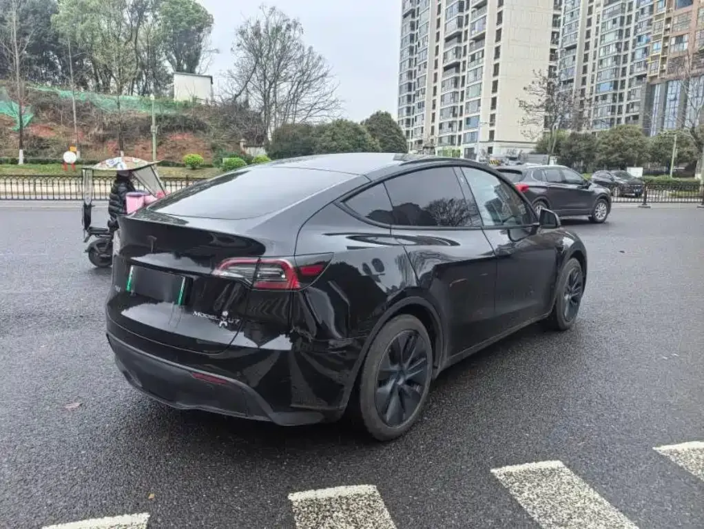 Tesla Model Y — фото 10