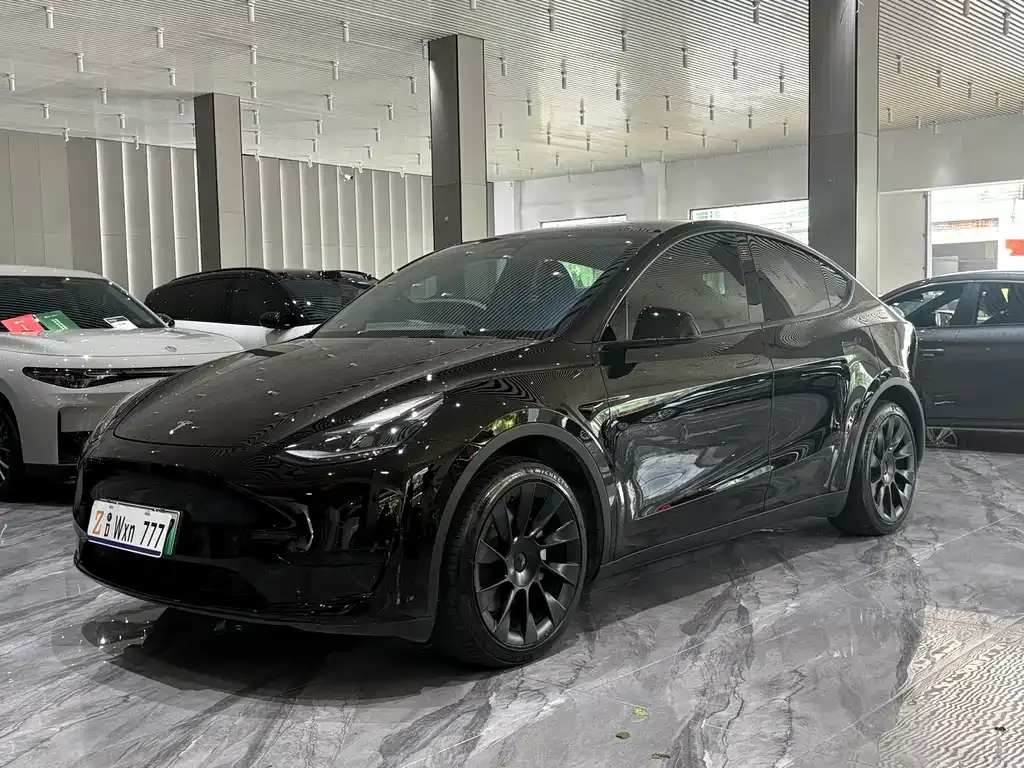 Tesla Model Y — фото 9