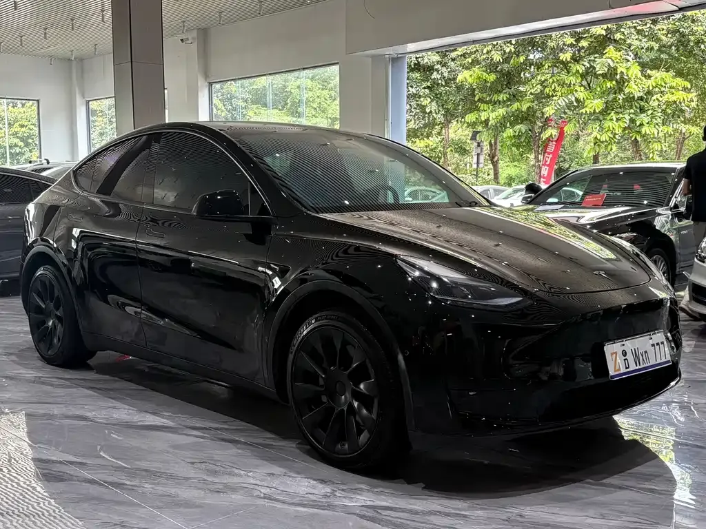 Tesla Model Y — фото 10
