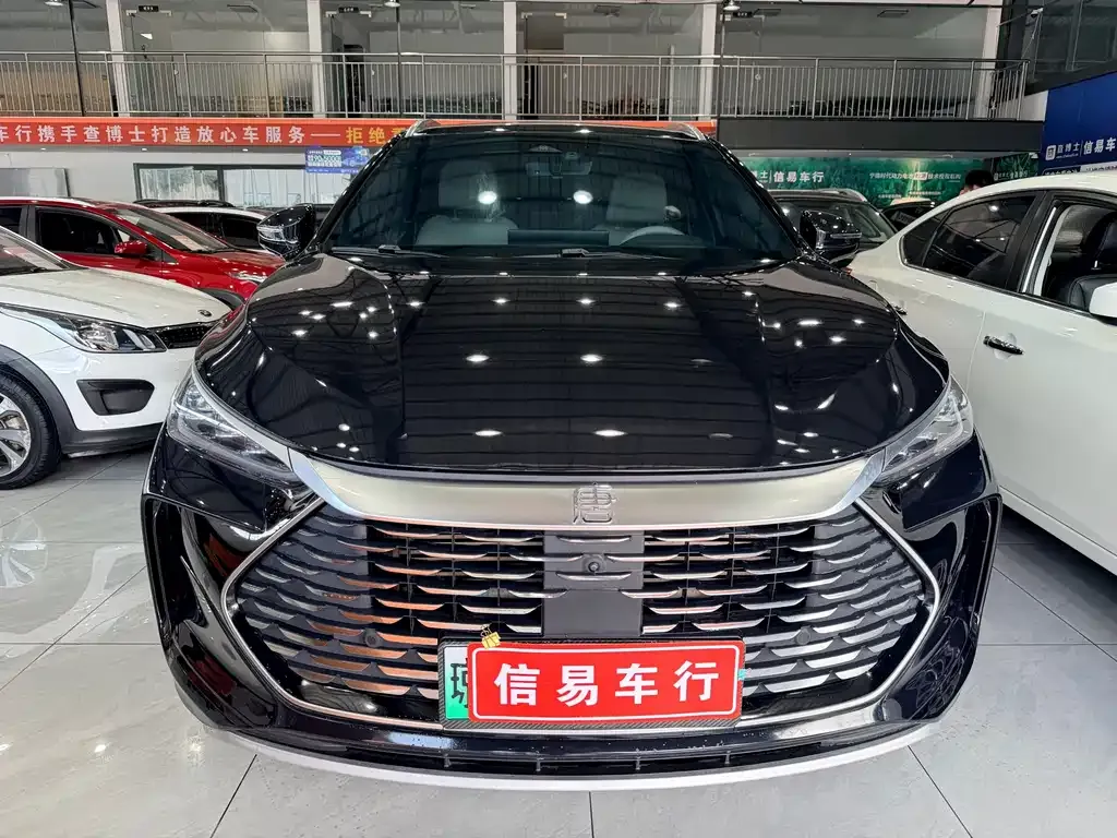 BYD Tang New Energy — фото 8