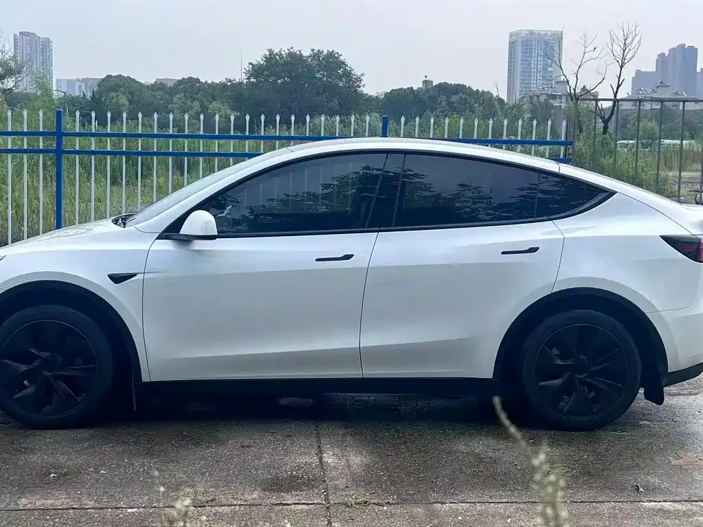 Tesla Model Y — фото 10