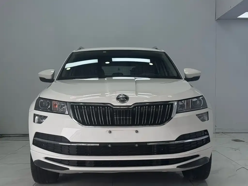 Skoda Karoq — фото 6