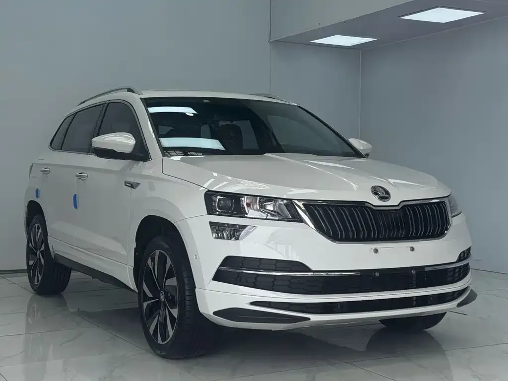 Skoda Karoq — фото 3