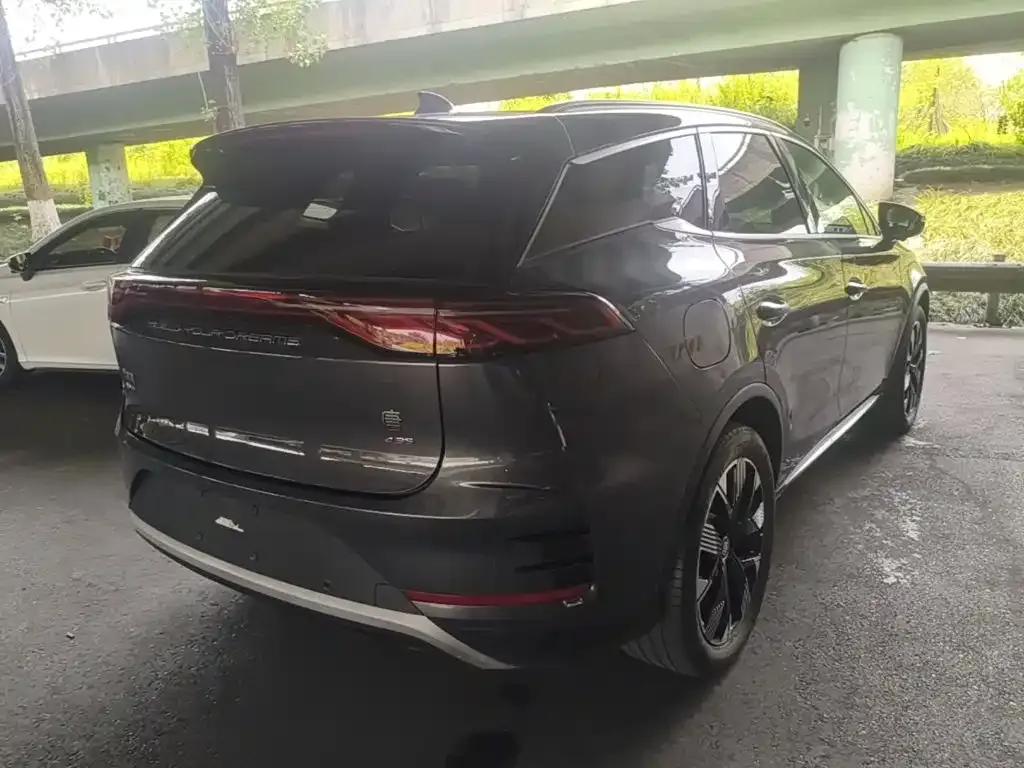 BYD Tang New Energy — фото 10