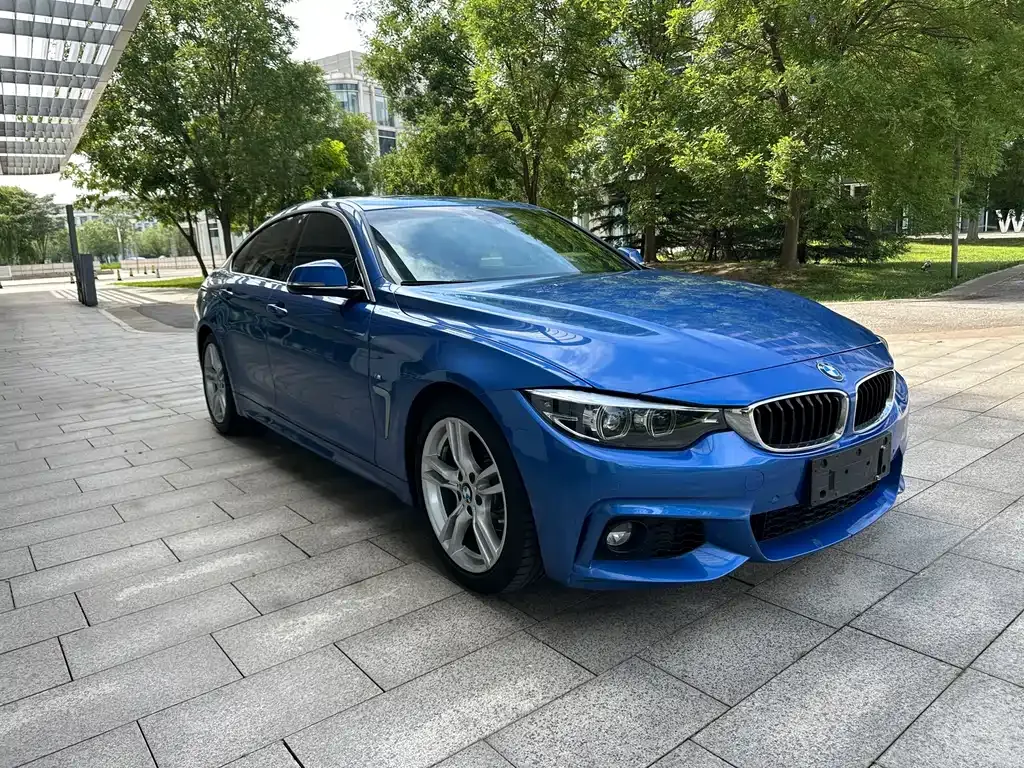 BMW 4 Series 2021 из CN, фото 5