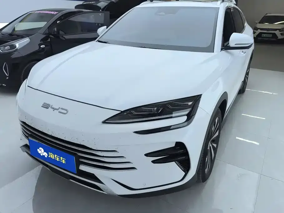 BYD PLUS New Energy — фото 8