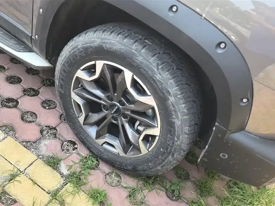 Haval Big Dog — фото 10
